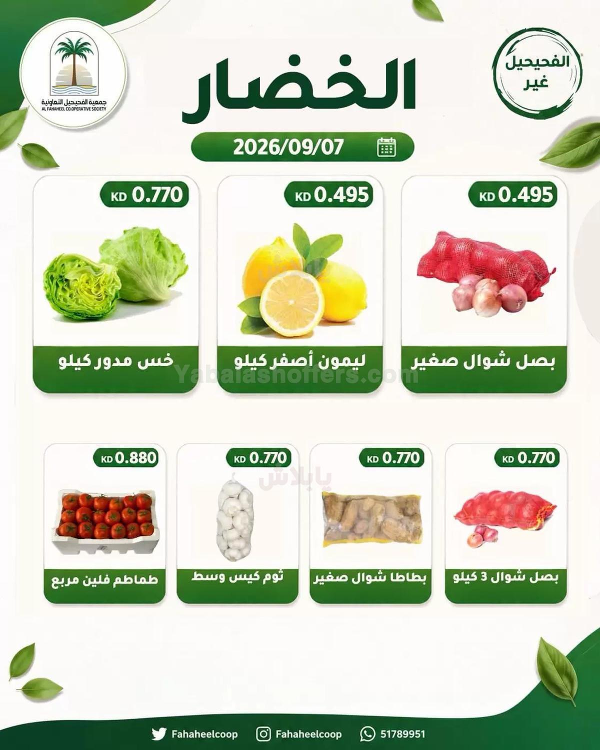 صفحة 3
