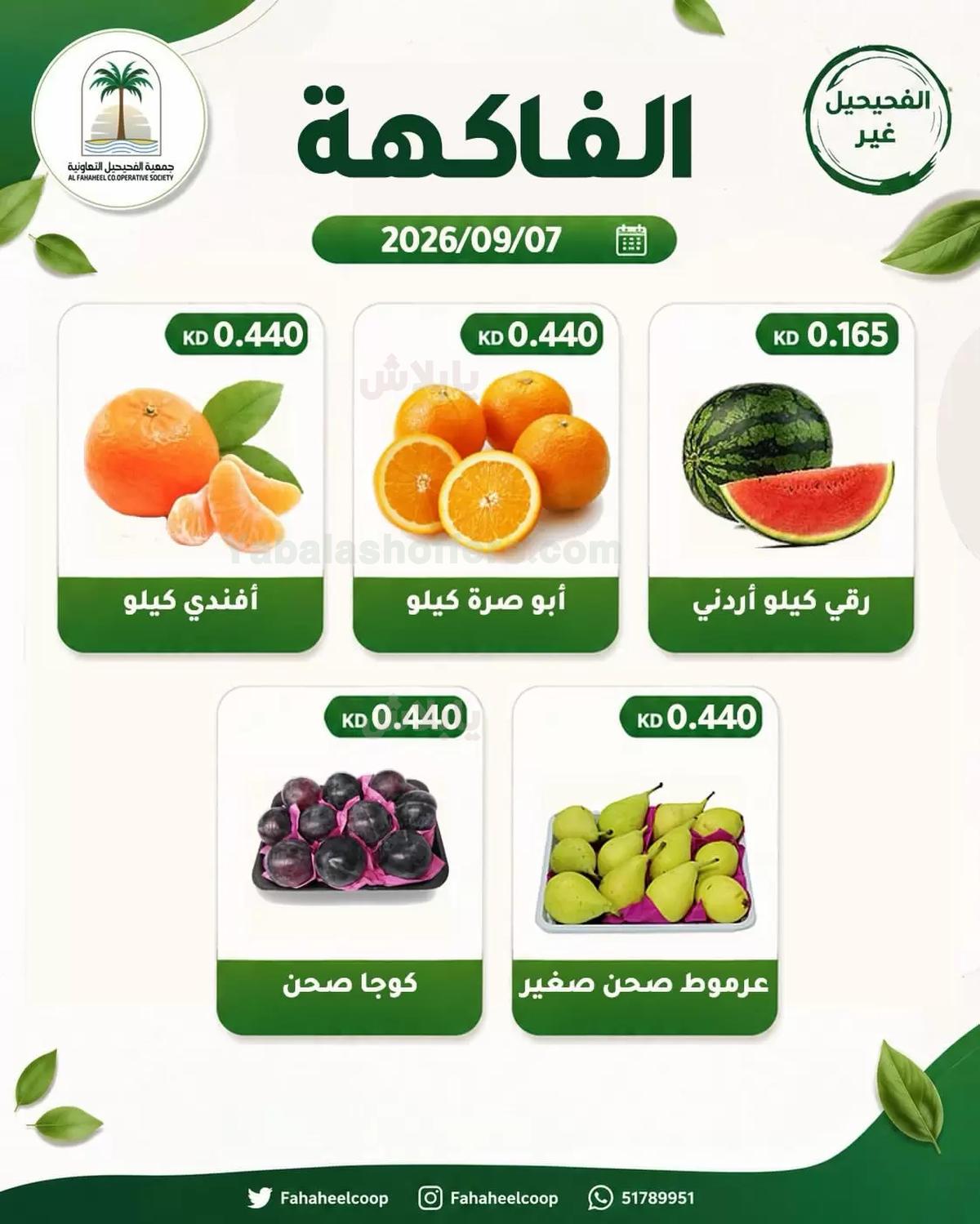 صفحة 4