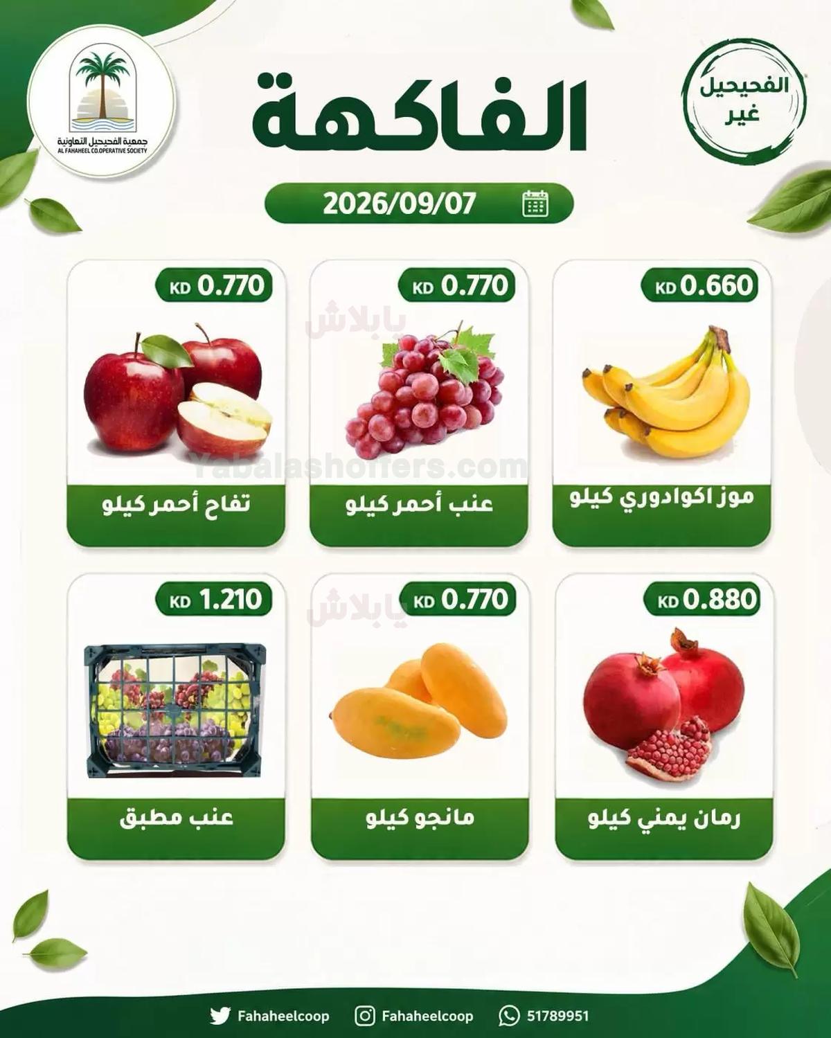 صفحة 5