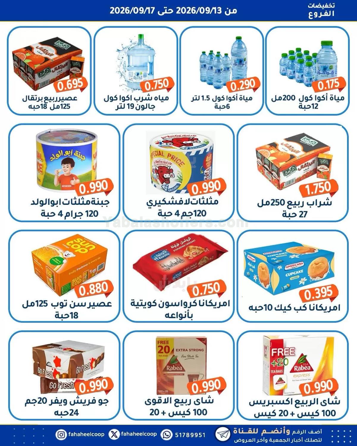 صفحة 4