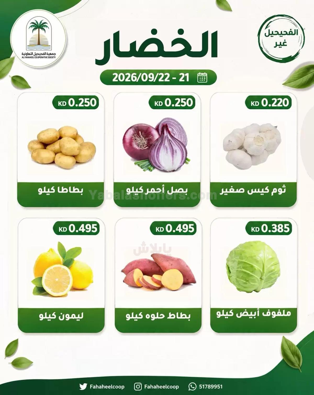 صفحة 1