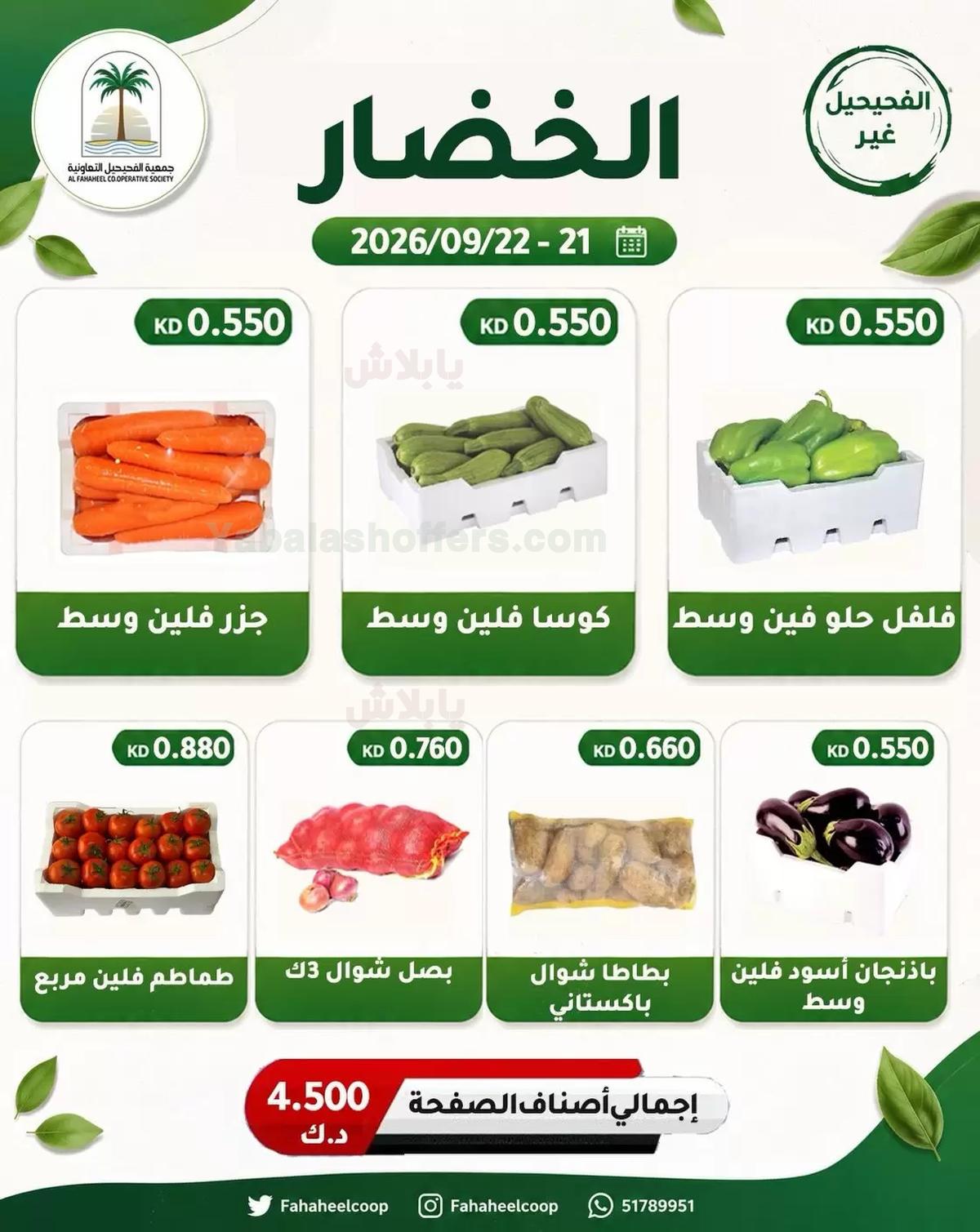 صفحة 2