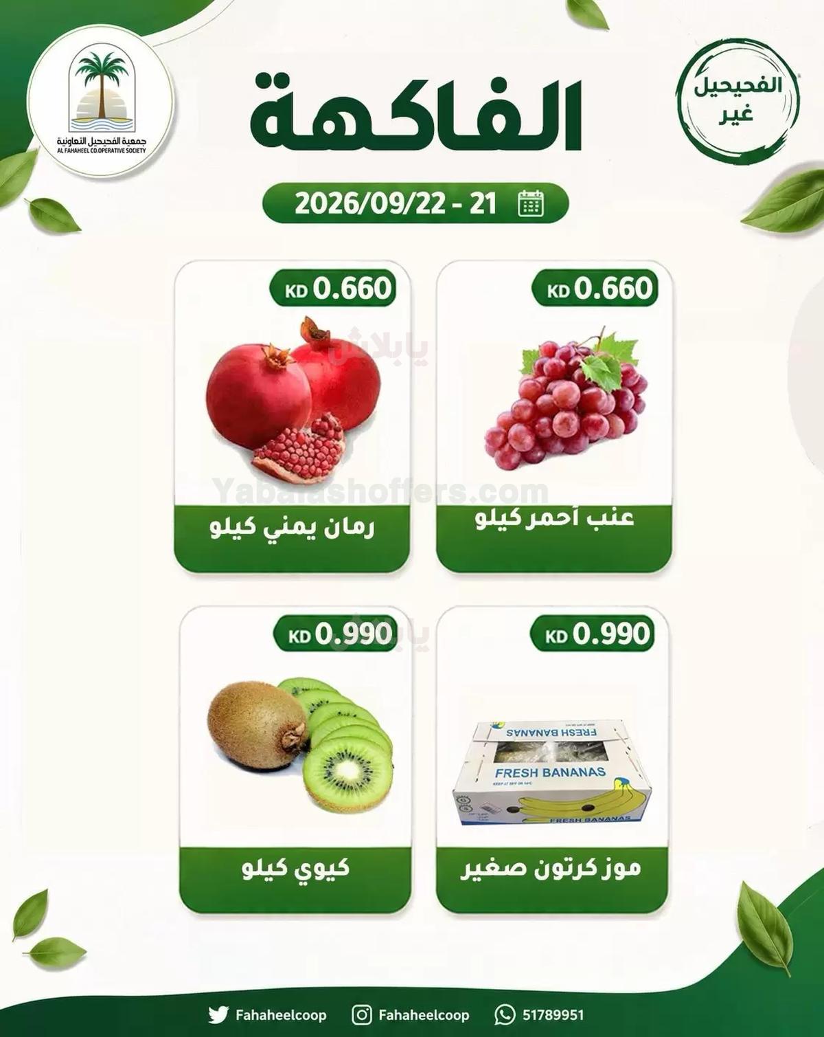 صفحة 3