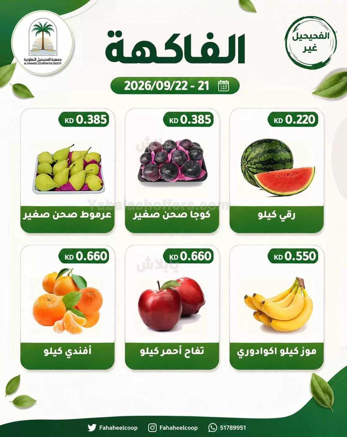 صفحة 4