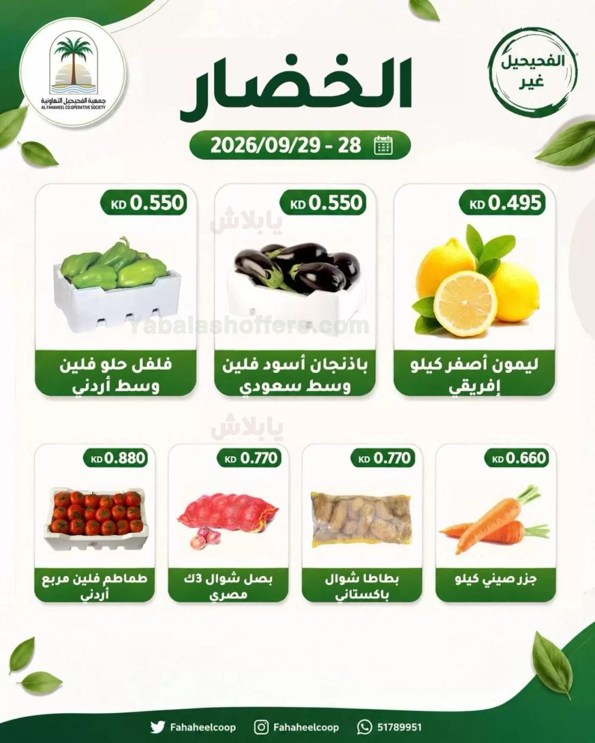 صفحة 2