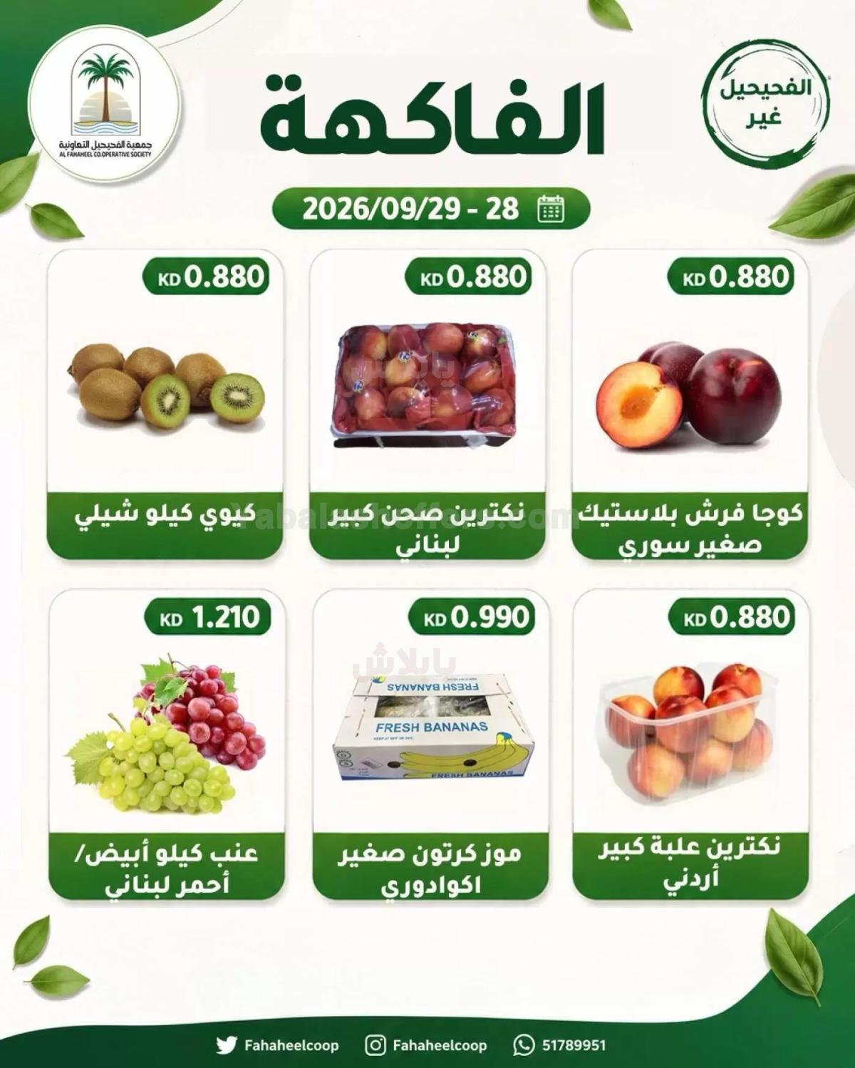 صفحة 3