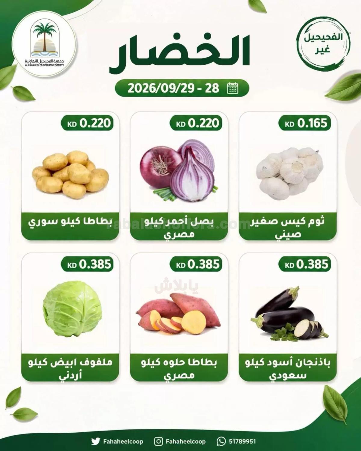 صفحة 4
