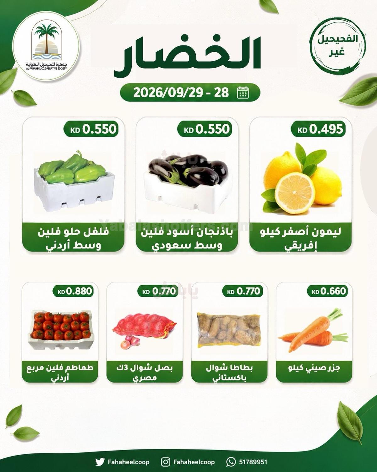 صفحة 2
