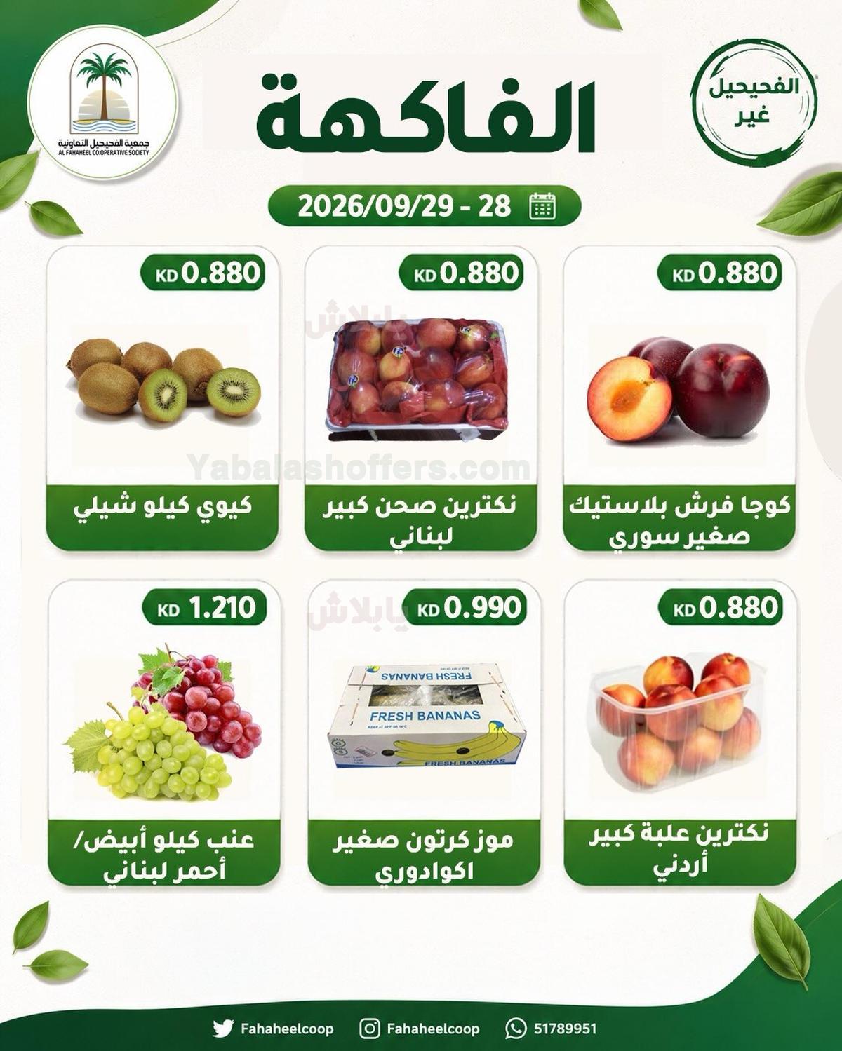 صفحة 3