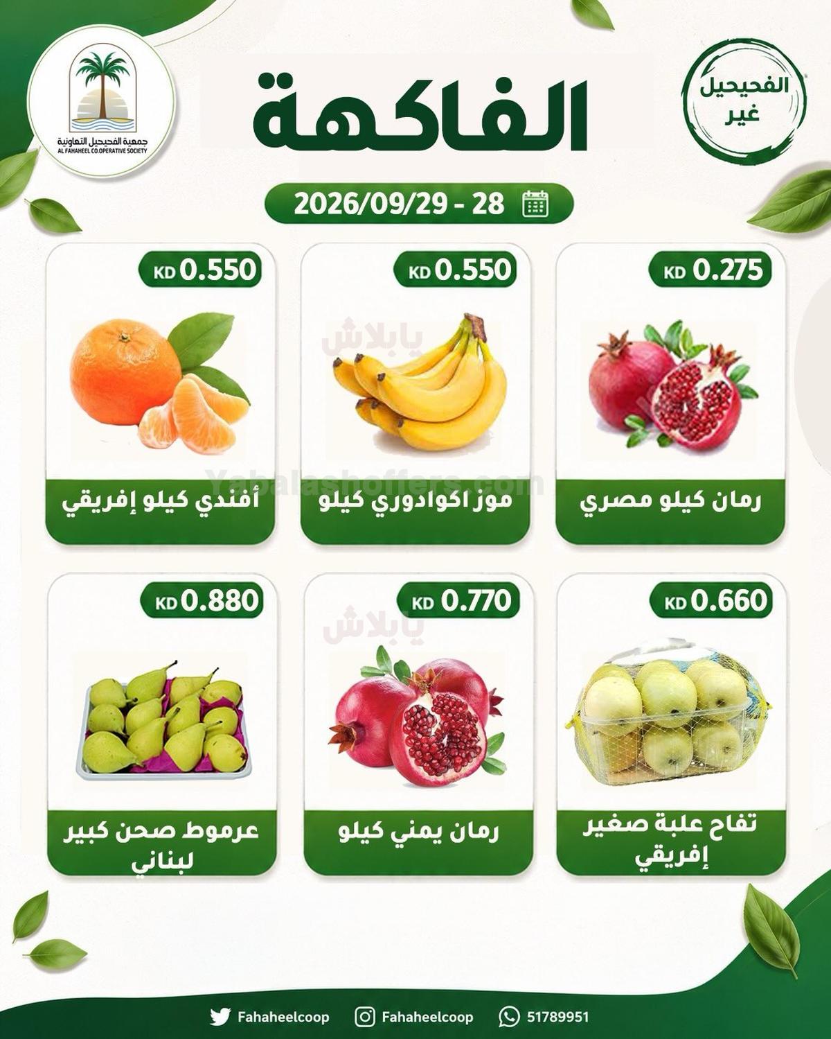 صفحة 5