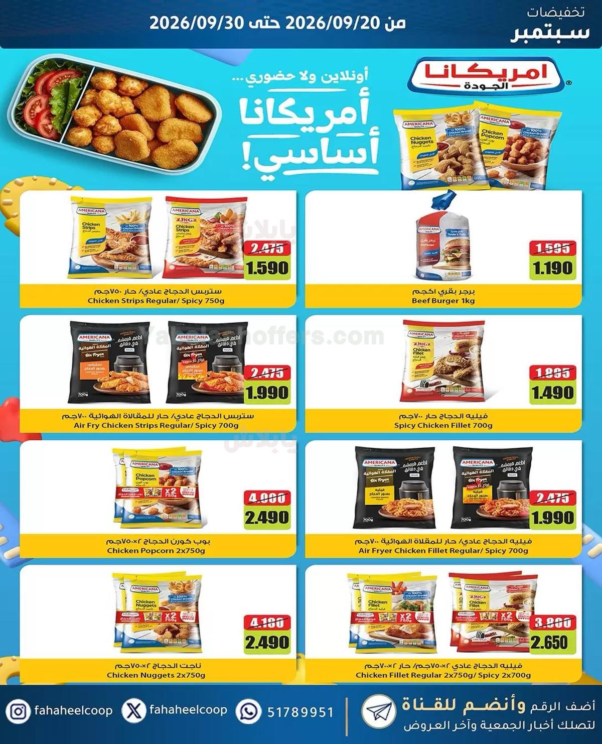 صفحة 4