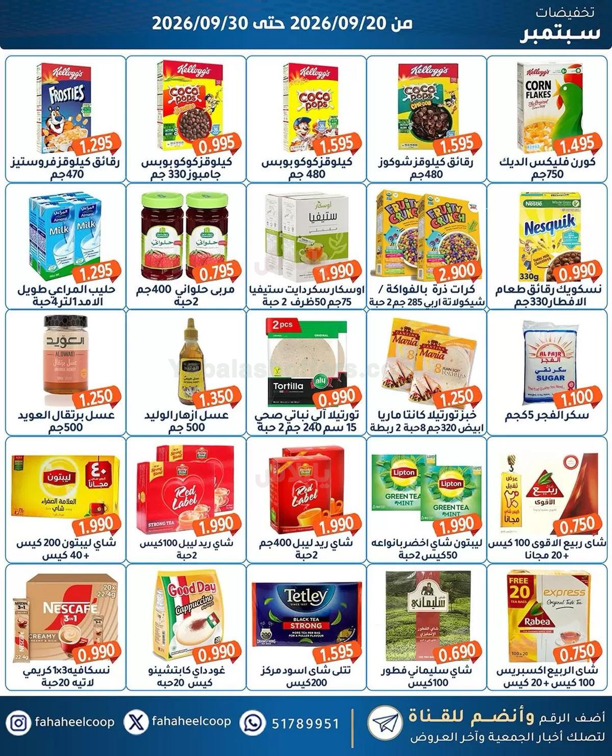 صفحة 15