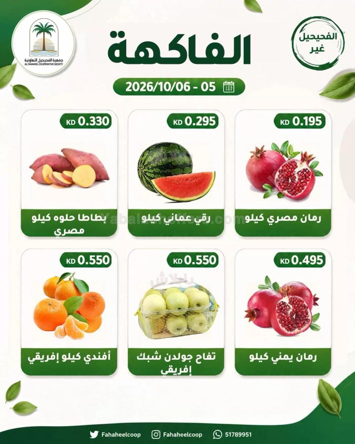 صفحة 2
