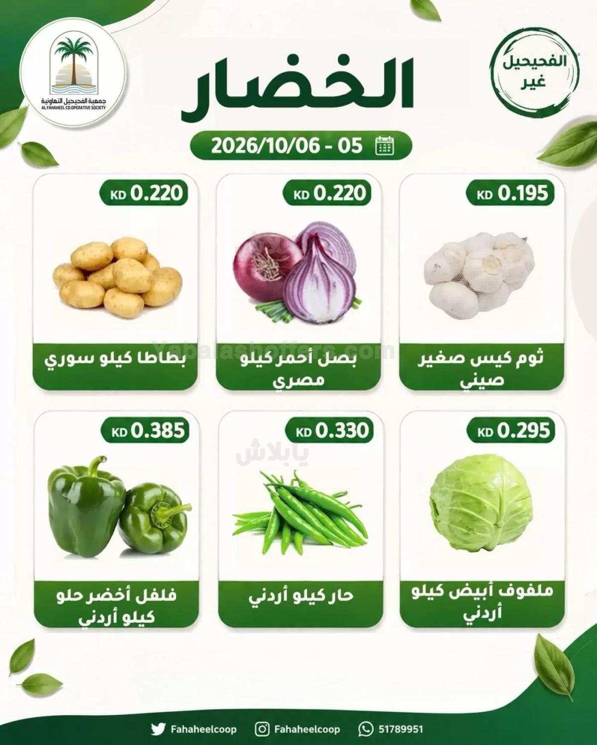 صفحة 3