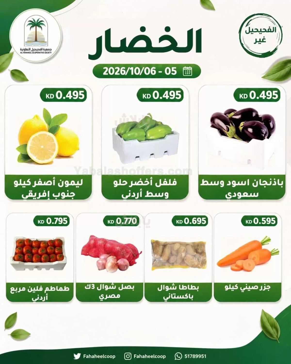 صفحة 4
