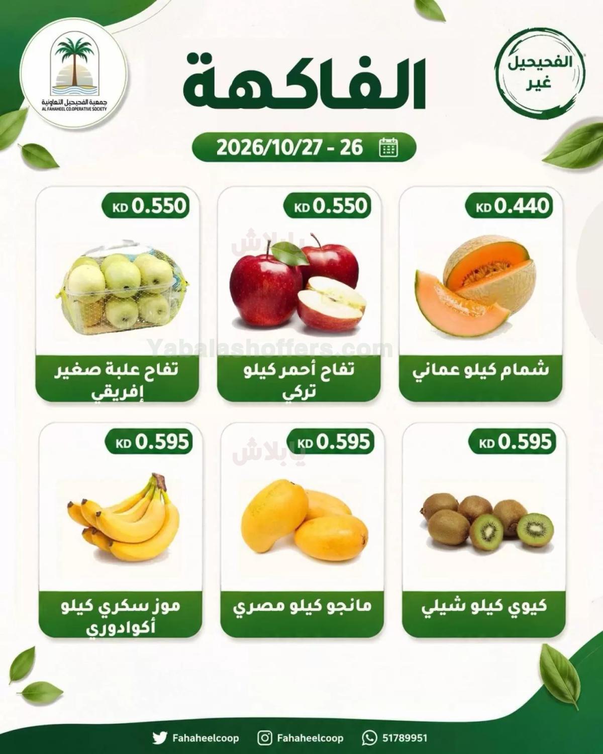 صفحة 3