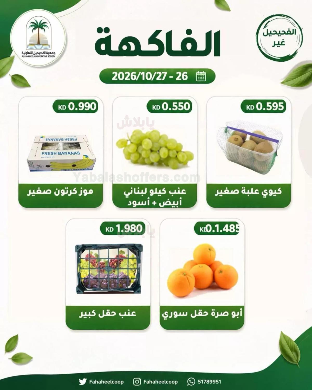 صفحة 4