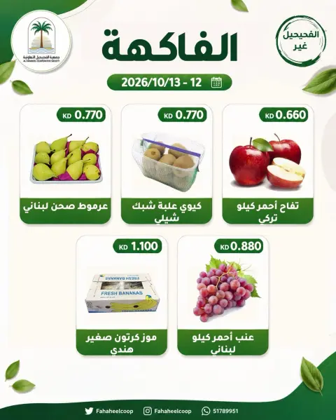 صفحة 3