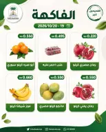 صفحة 10