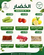 صفحة 11