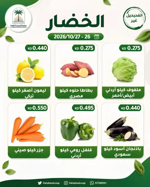 صفحة 3