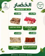 صفحة 10