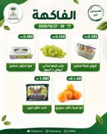 صفحة 11