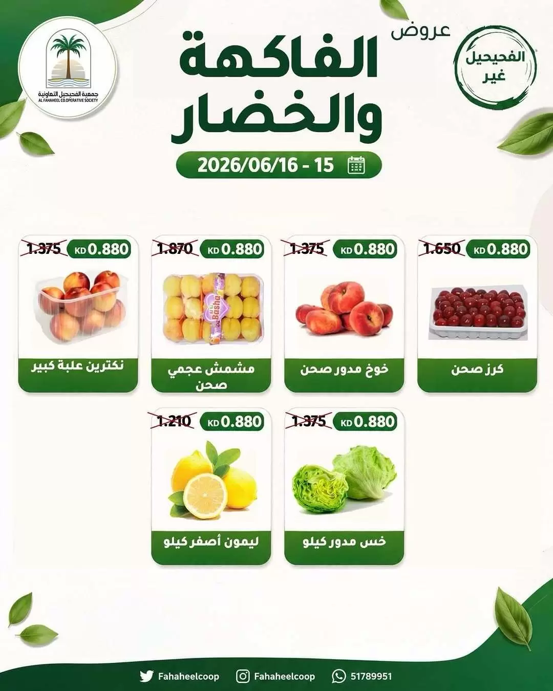 صفحة 4