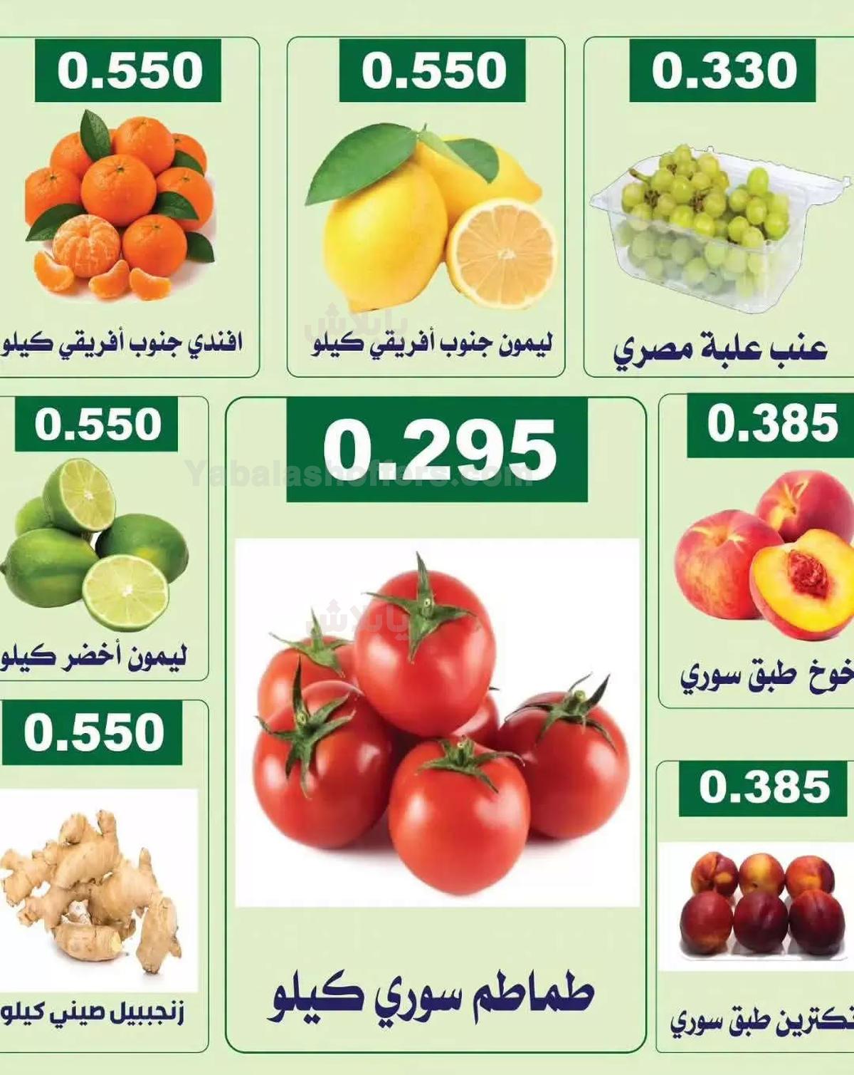 صفحة 3