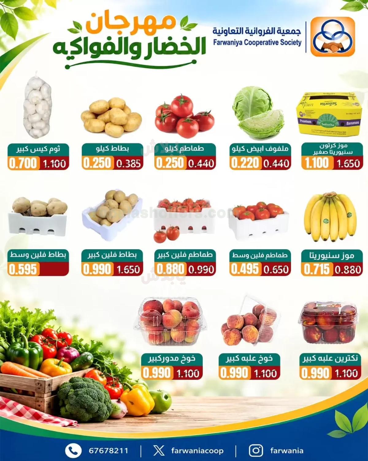 صفحة 2