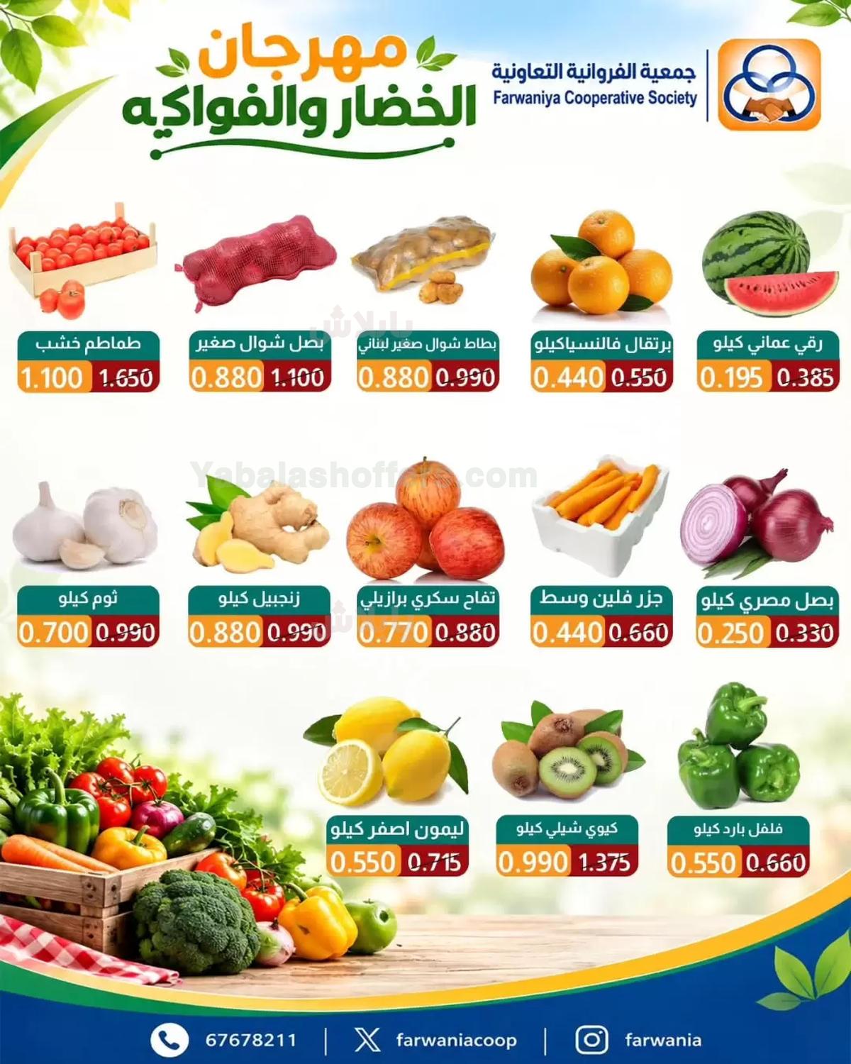 صفحة 3