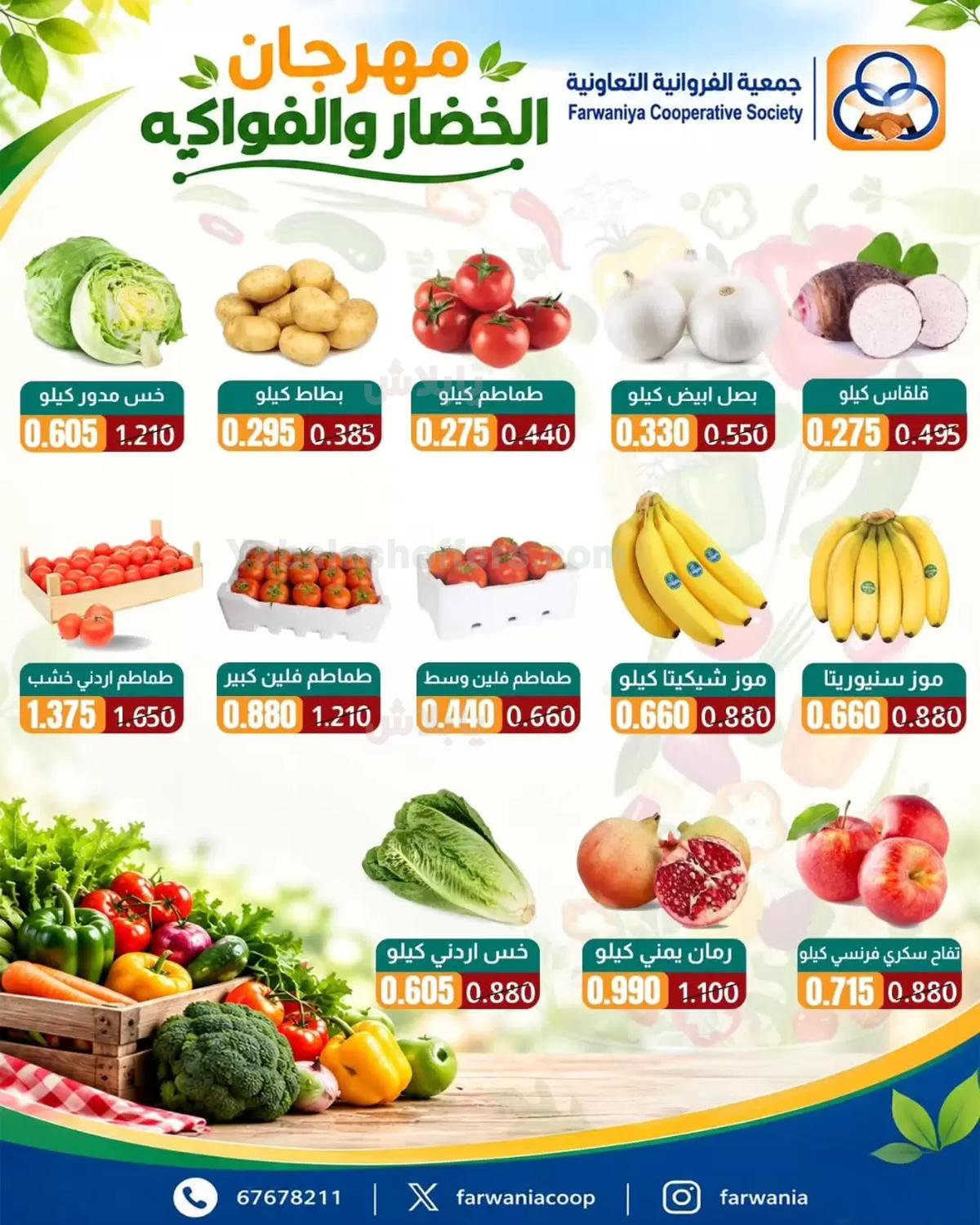 صفحة 3