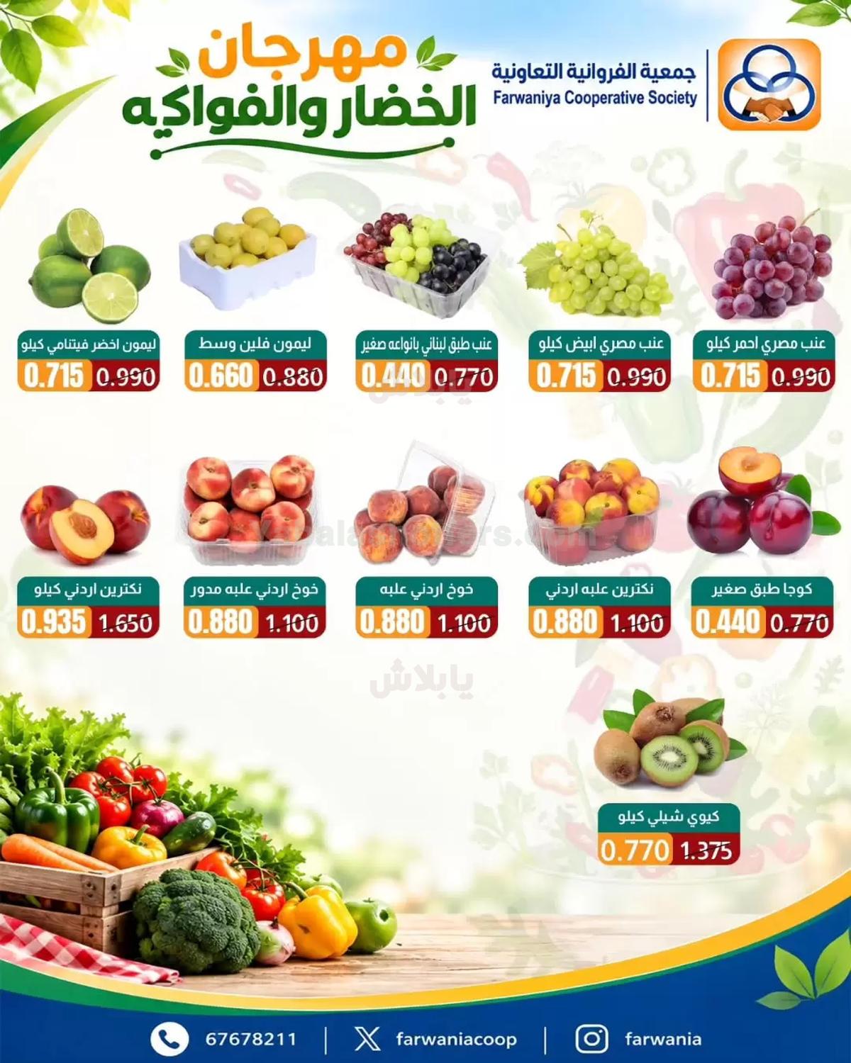 صفحة 4