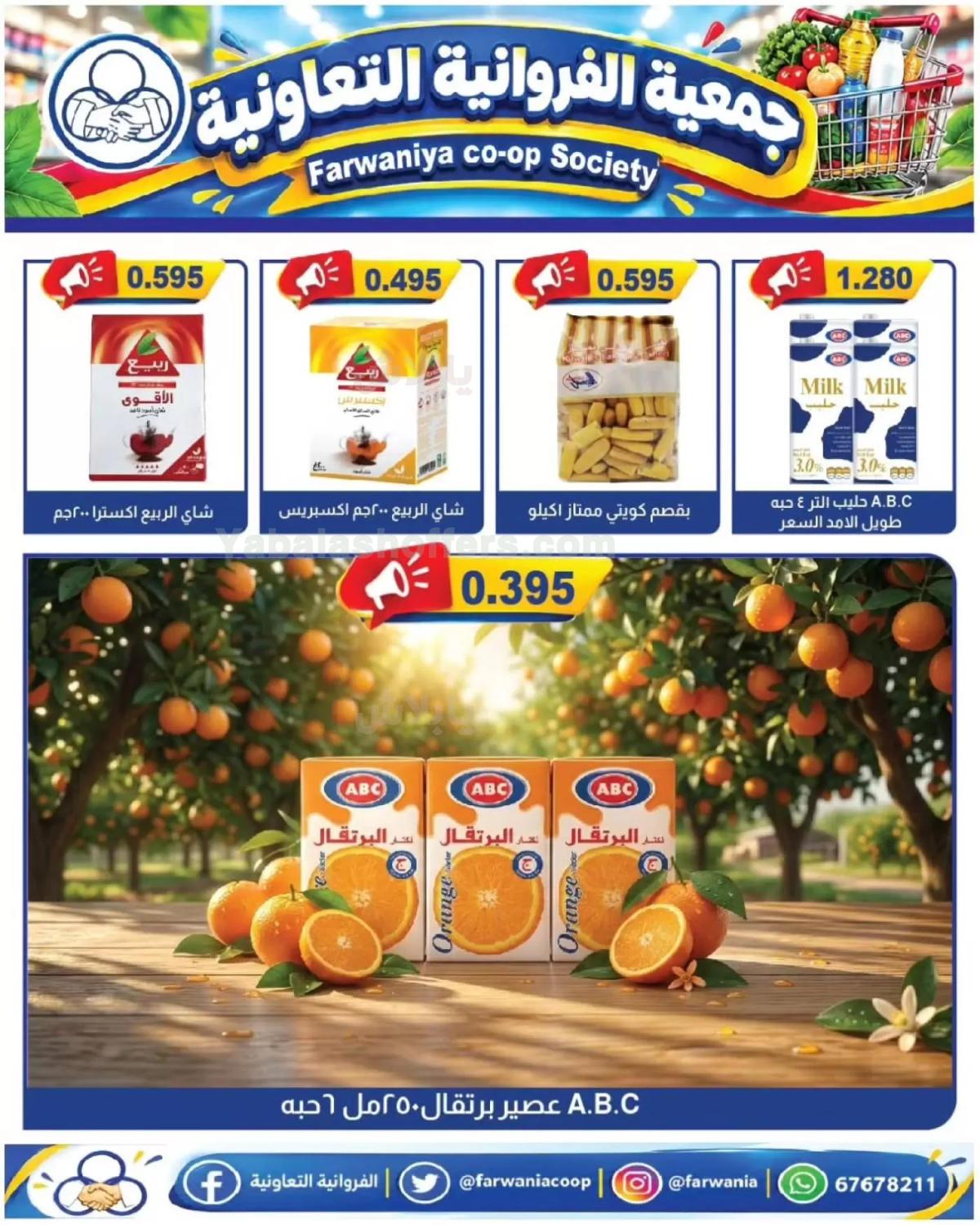 صفحة 17