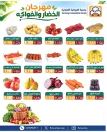 صفحة 7