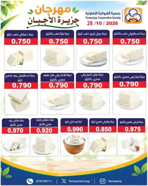 صفحة 19