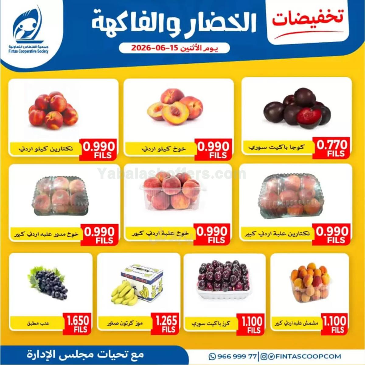 صفحة 2
