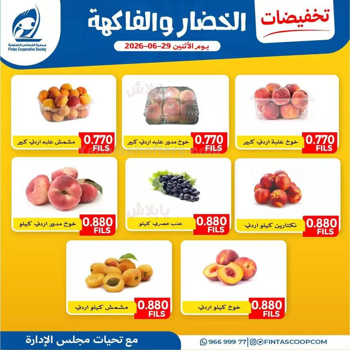 صفحة 1