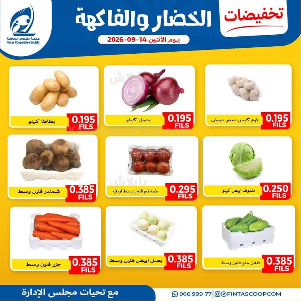 صفحة 3