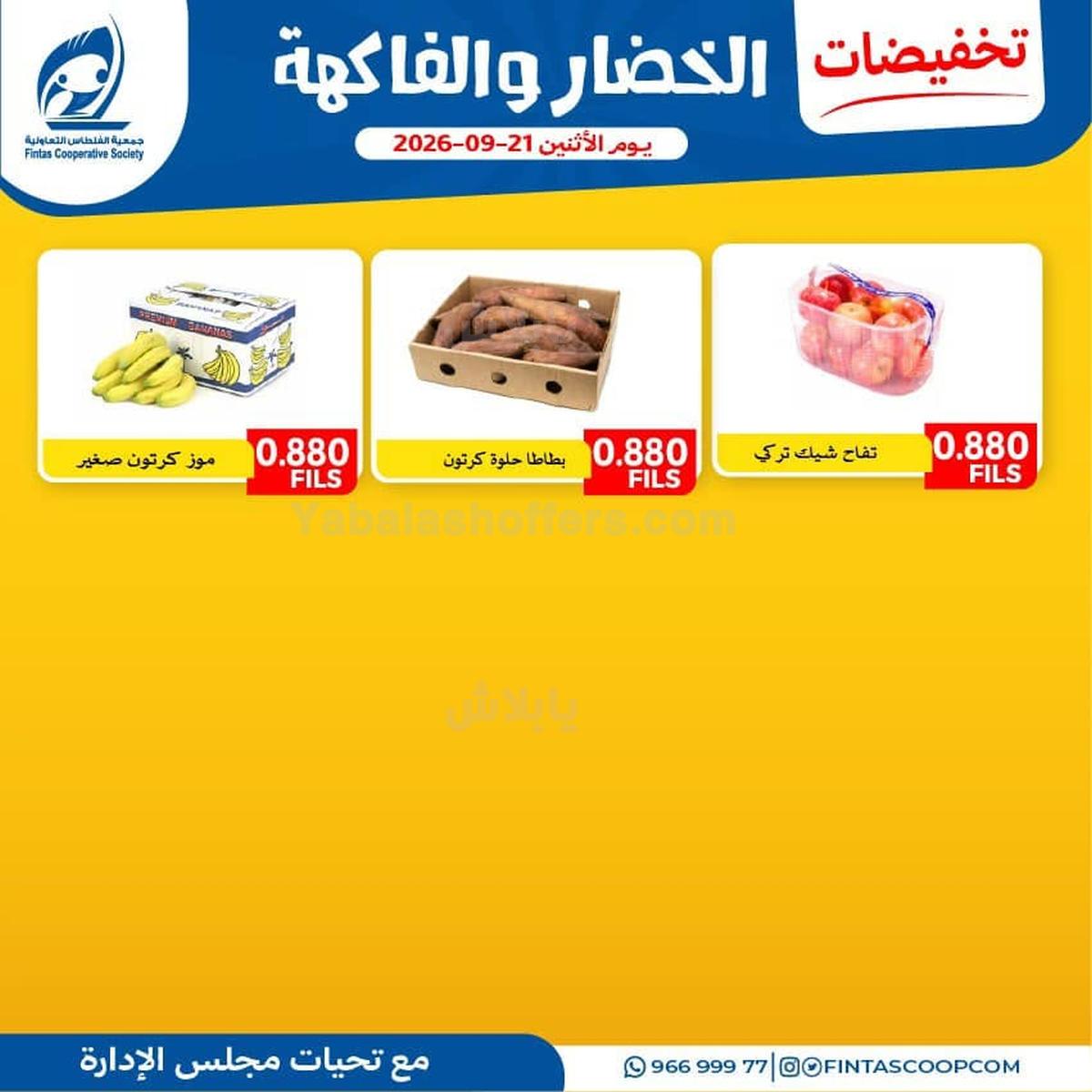 صفحة 3