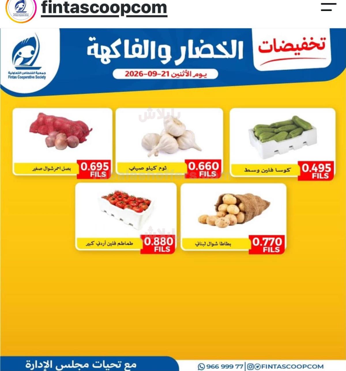 صفحة 5