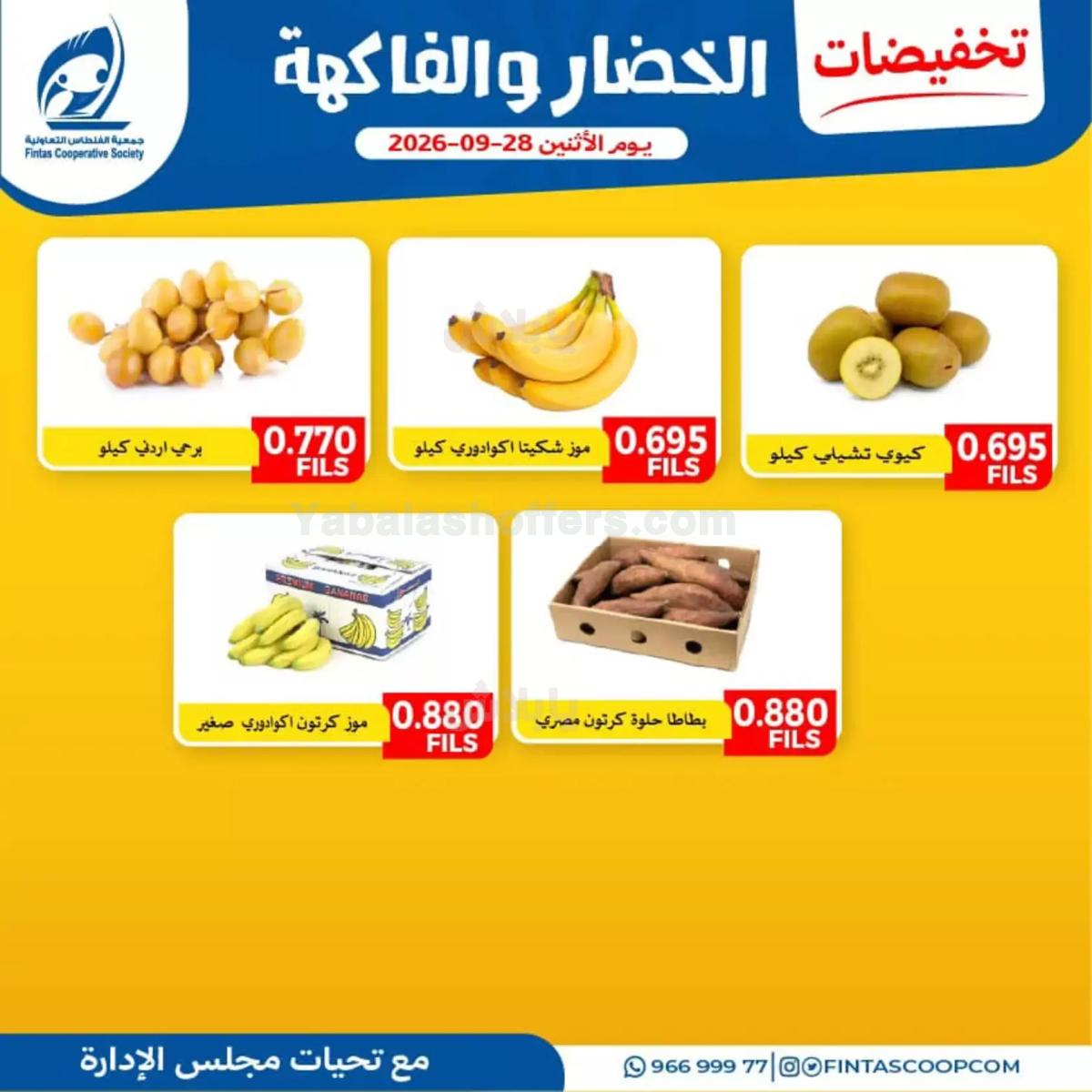 صفحة 3