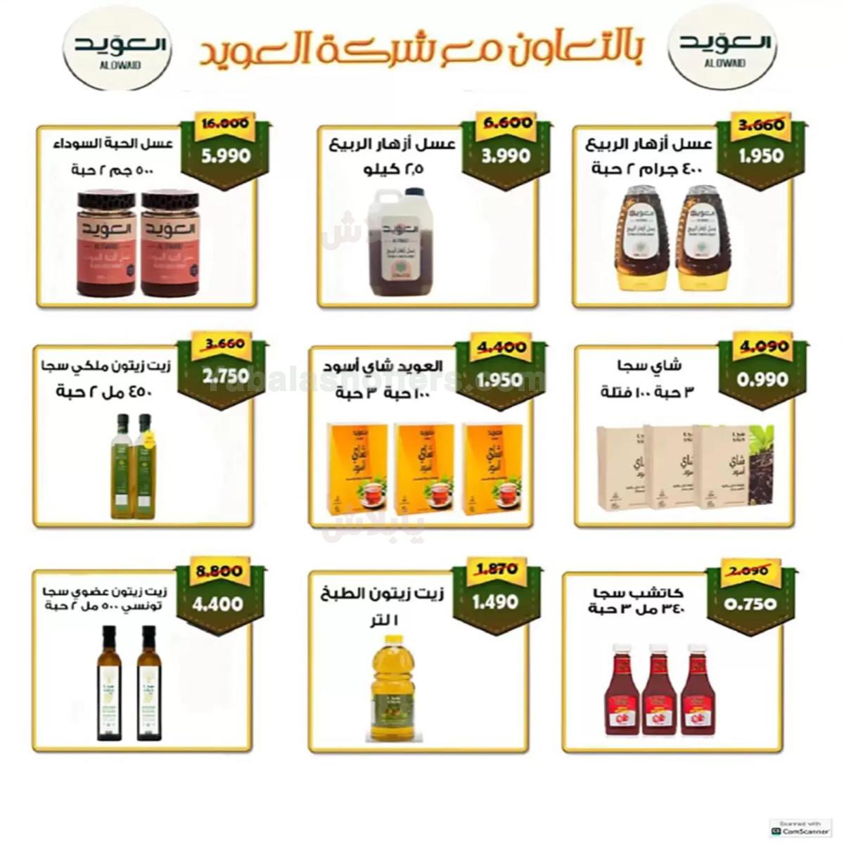 صفحة 13