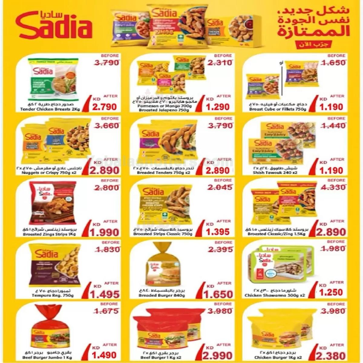 صفحة 3