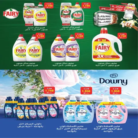 صفحة 10