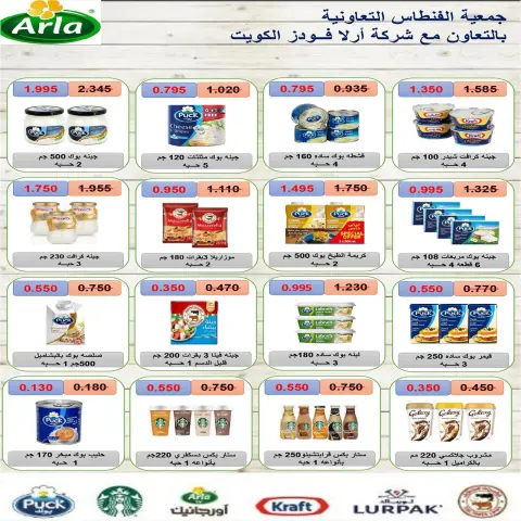 صفحة 15