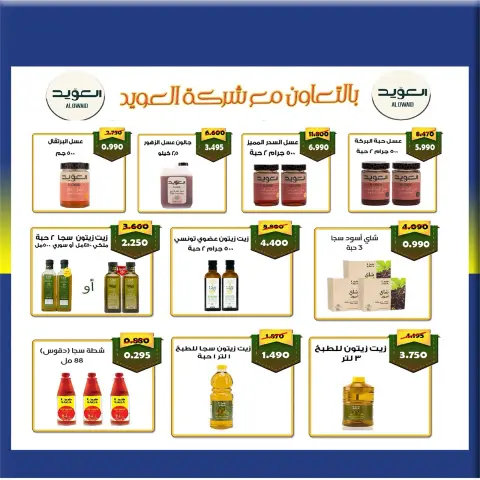 صفحة 16