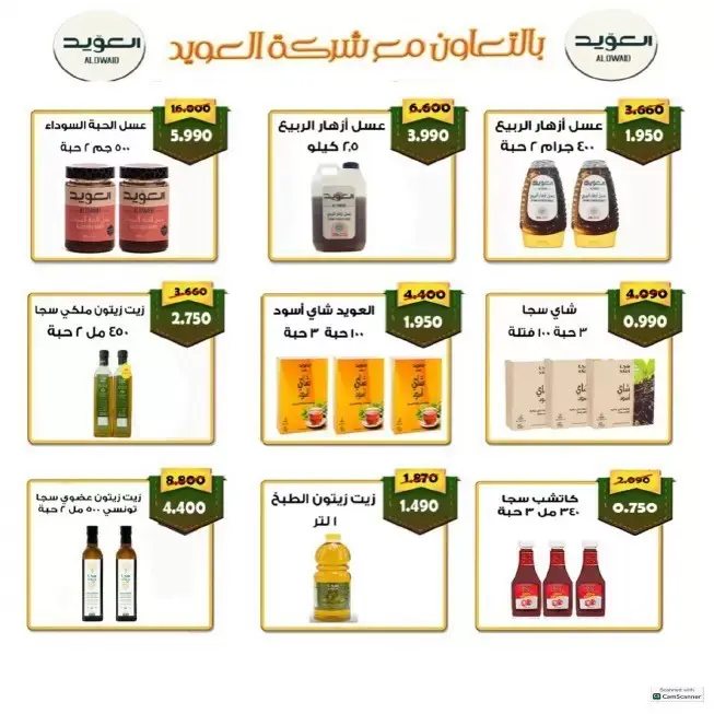 صفحة 15