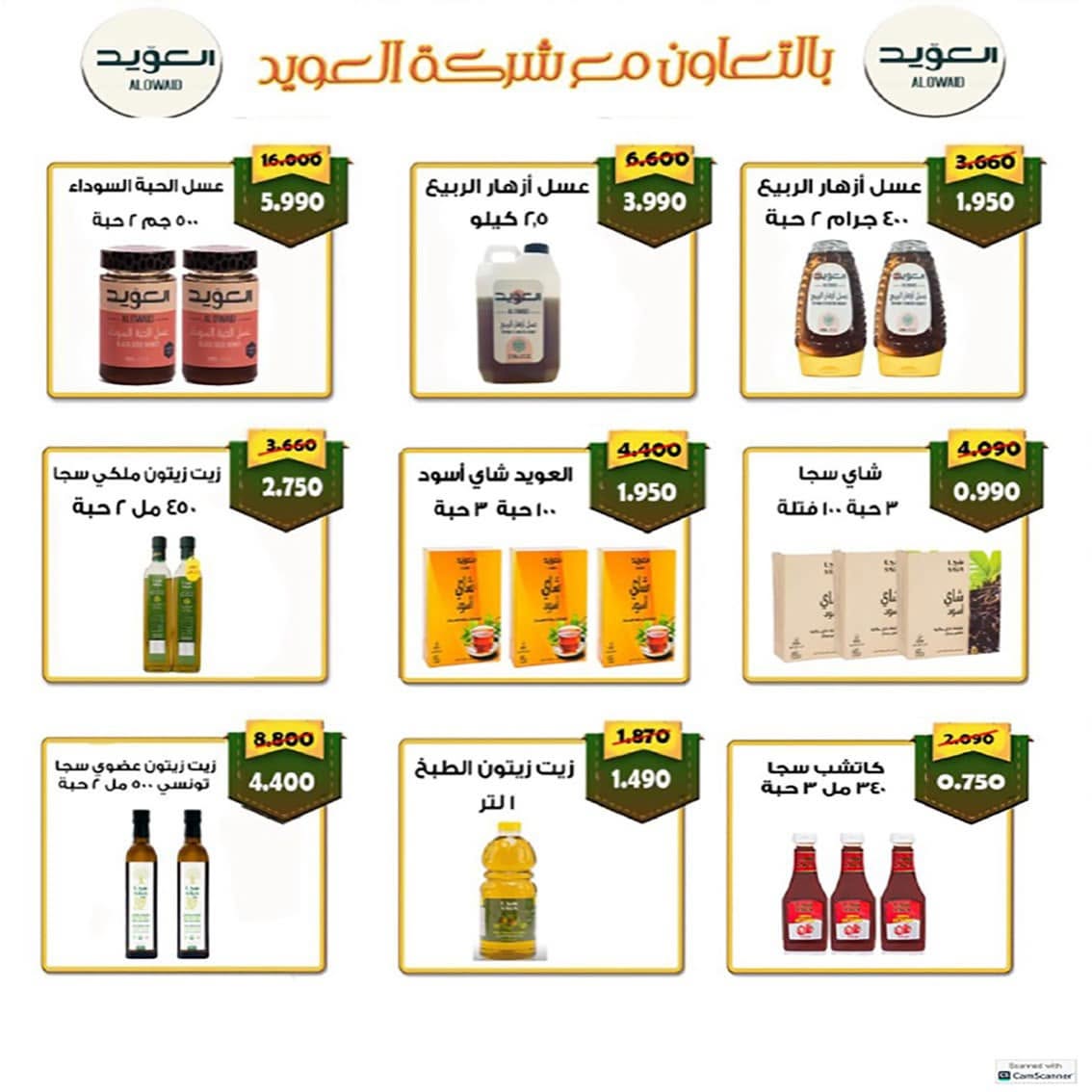 صفحة 13