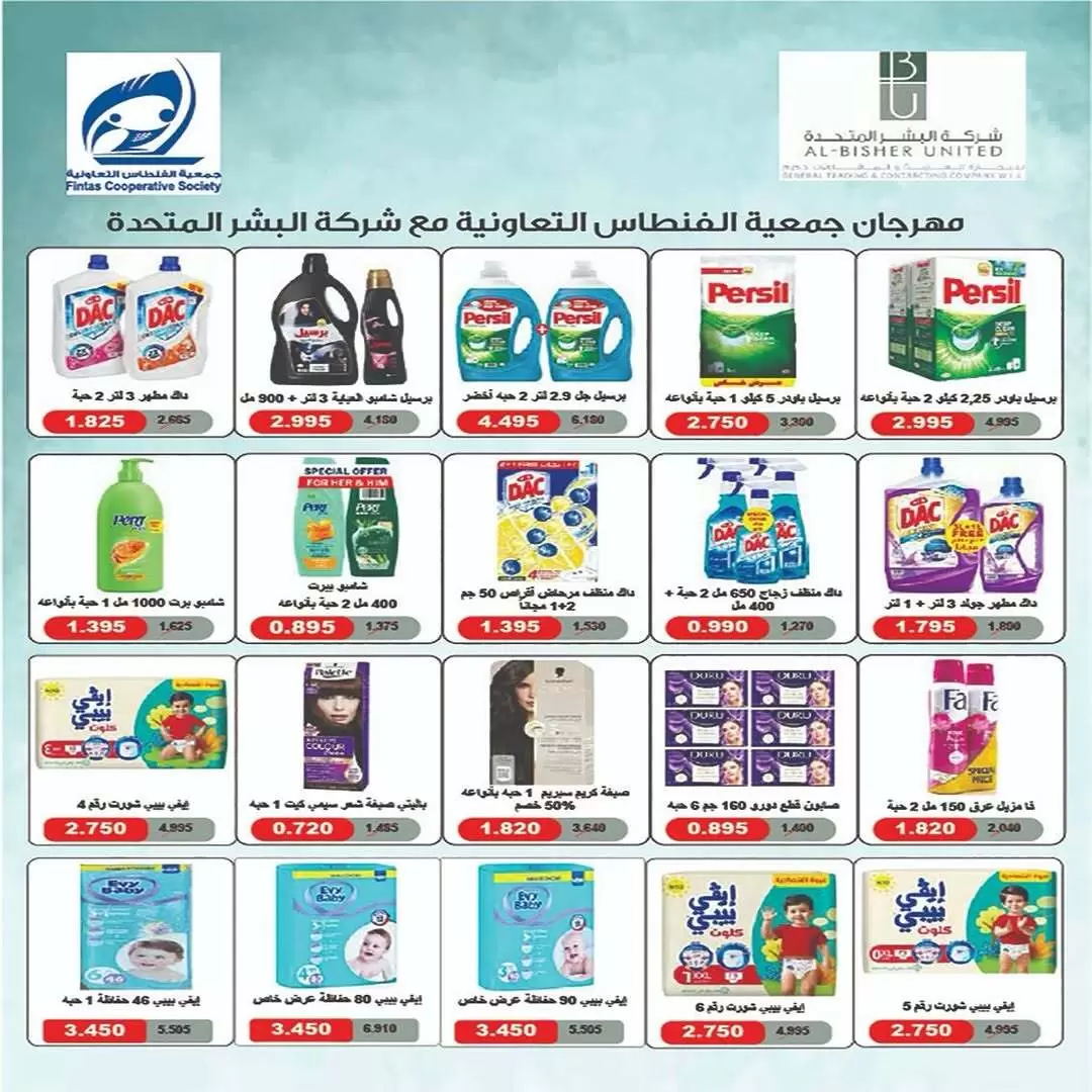 صفحة 13